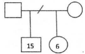 下图所示的家庭结构图表示的意思是（ ）。